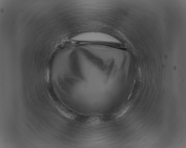 X0000073450076200608251716