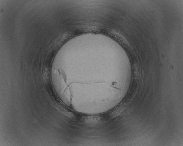 X0000073450077200608251716