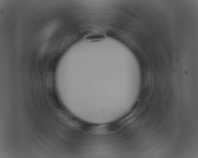 X0000073450078200608251716