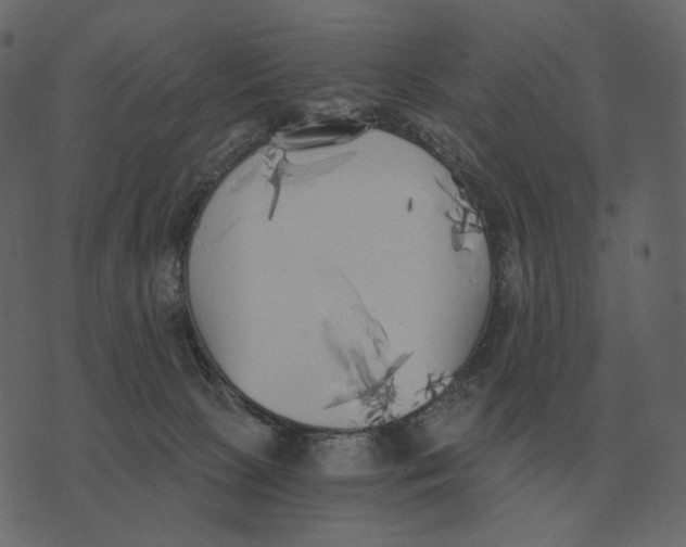 X0000073450081200608251716