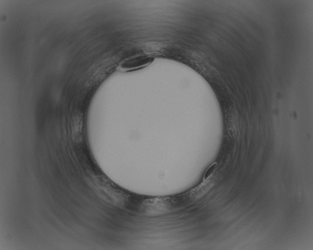 X0000073450082200608251716
