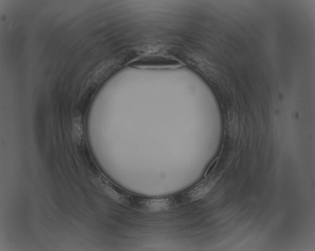 X0000073450085200608251717