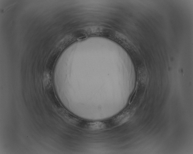 X0000073450087200608251717