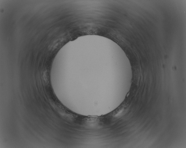 X0000073450088200608251717