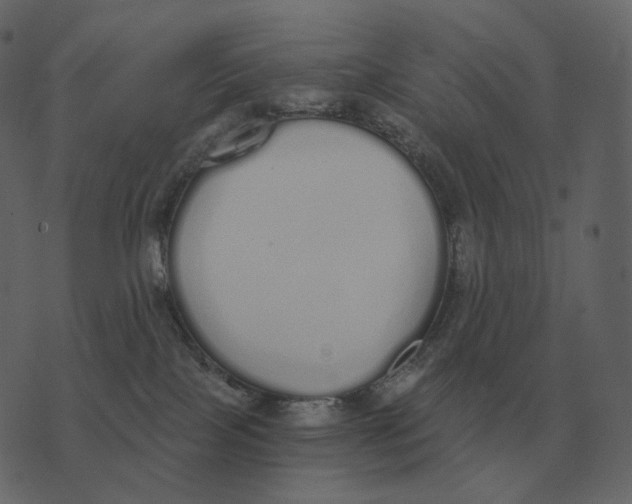 X0000073450089200608251717