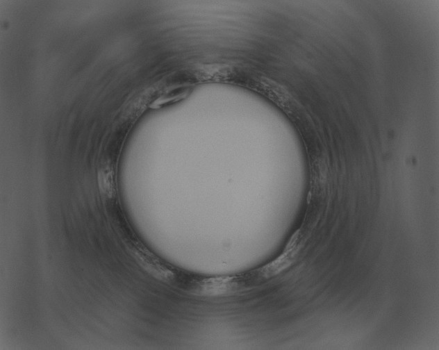 X0000073450090200608251717