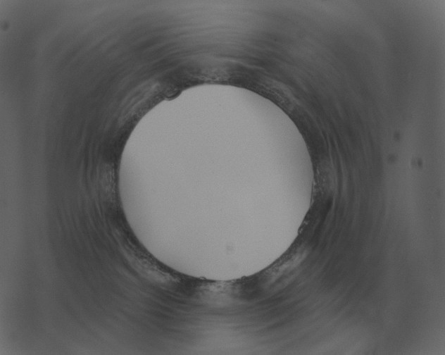 X0000073450092200608251717