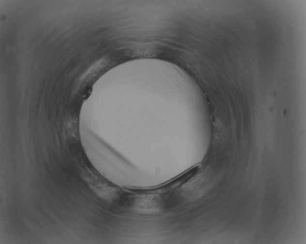 X0000073450096200608251717