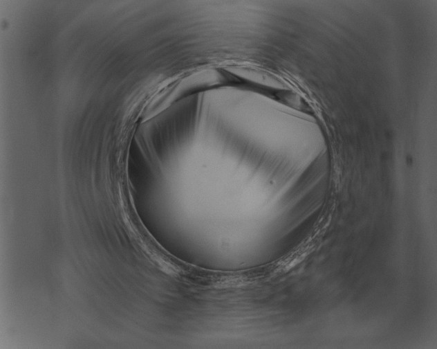 X0000073450097200608251716