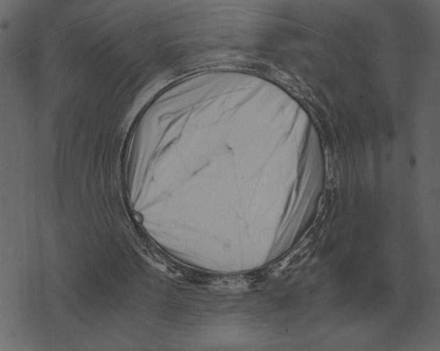 X0000073450099200608251716