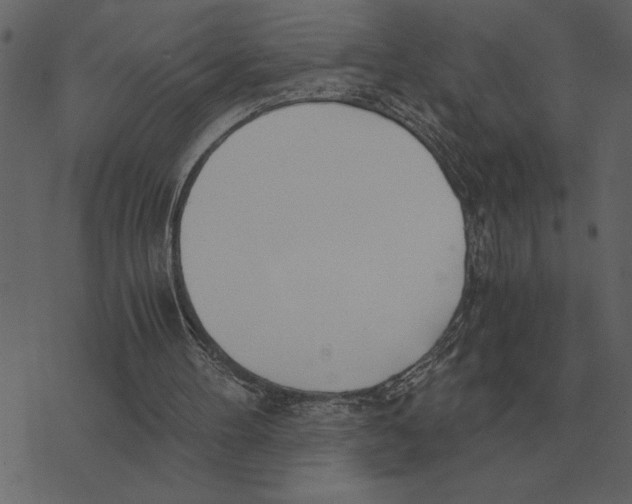 X0000073450100200608251716