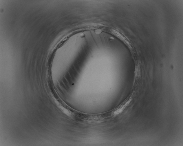 X0000073450101200608251716