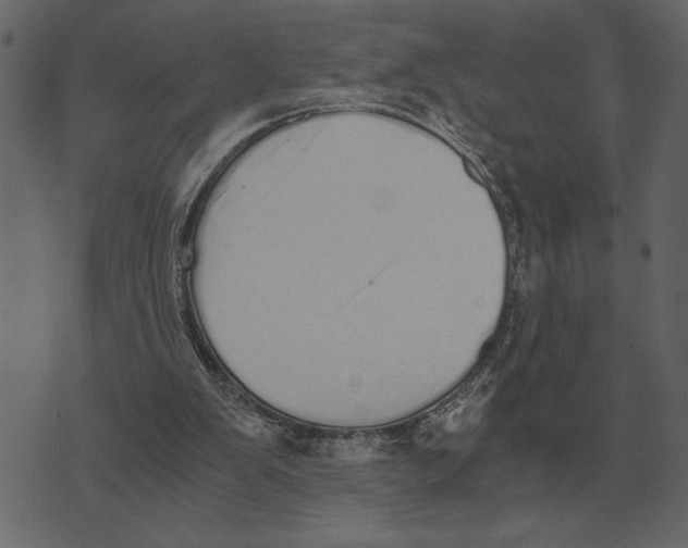 X0000073450103200608251716
