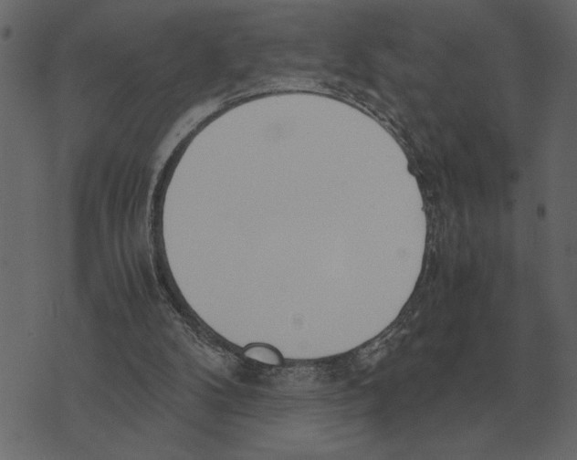 X0000073450104200608251716