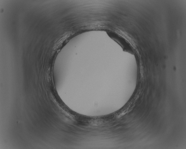 X0000073450105200608251716