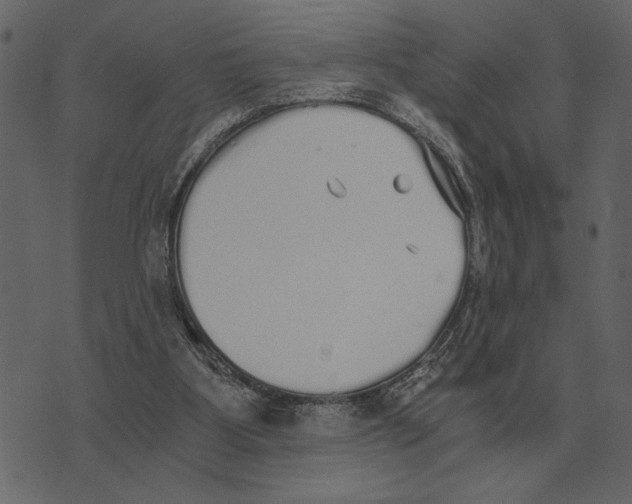 X0000073450107200608251716