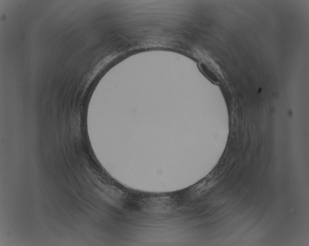 X0000073450108200608251716