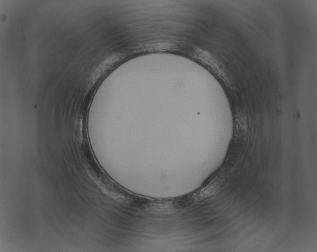X0000073450110200608251716
