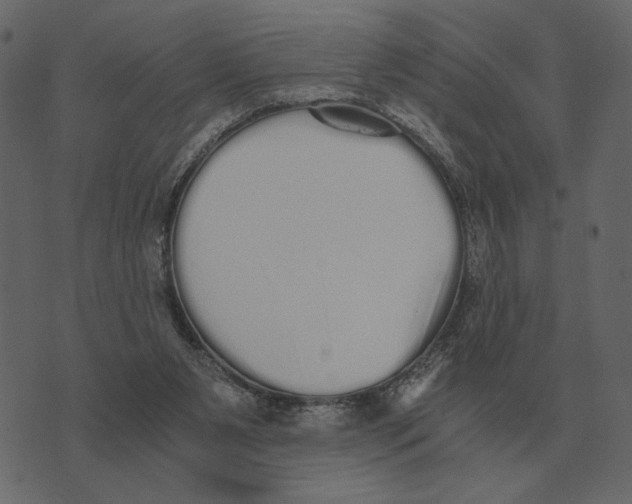 X0000073450111200608251716