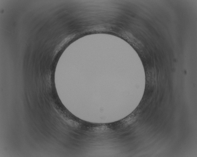 X0000073450112200608251716
