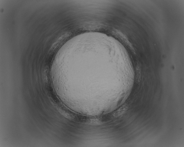 X0000073450114200608251716