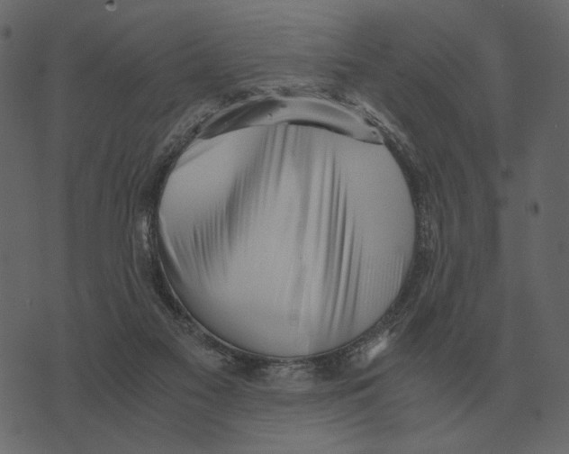 X0000073450117200608251716