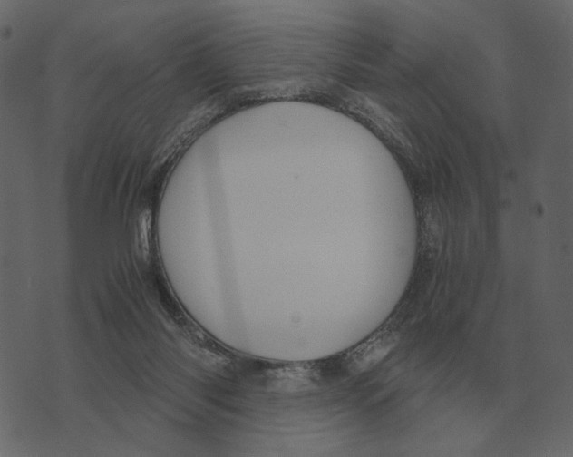 X0000073450118200608251716