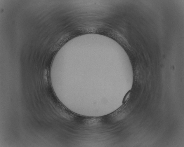 X0000073450122200608251715