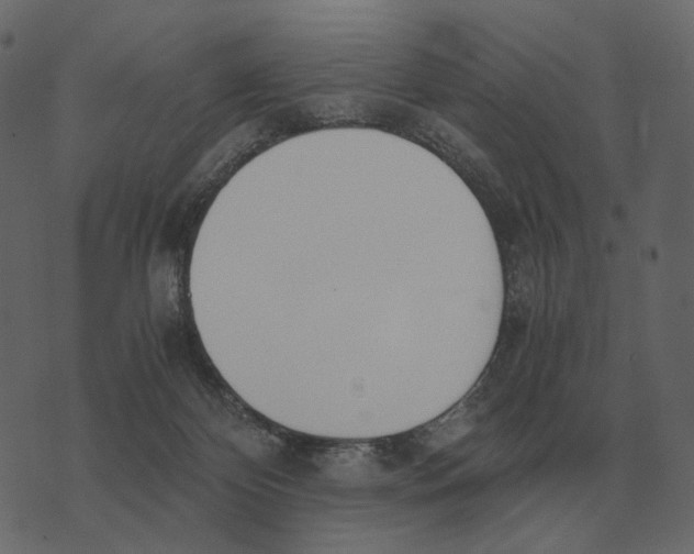 X0000073450124200608251715