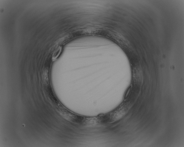 X0000073450127200608251715