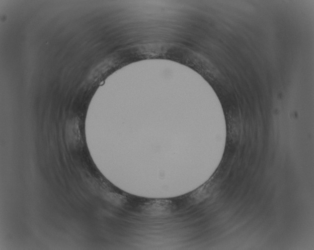 X0000073450128200608251715