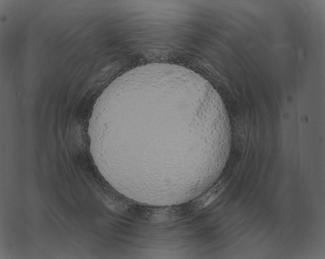 X0000073450130200608251715