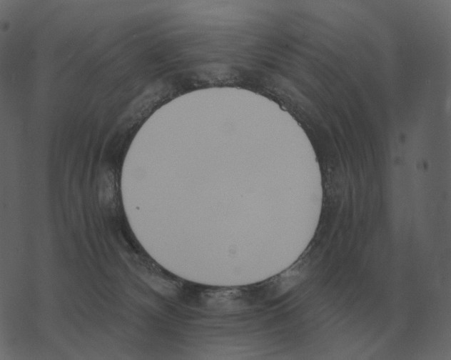 X0000073450132200608251715