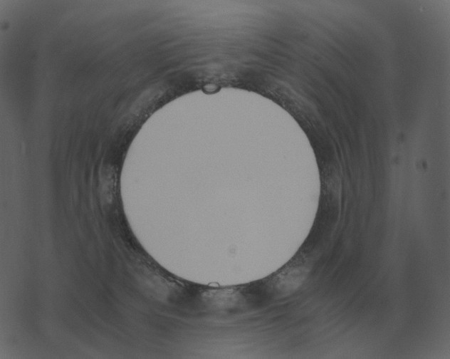 X0000073450133200608251715