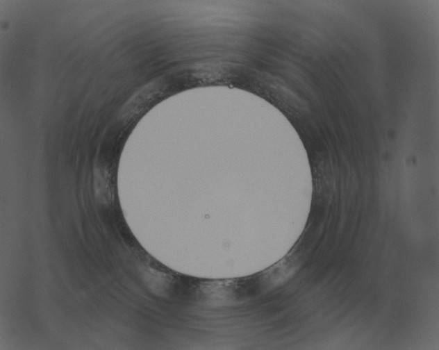 X0000073450136200608251715