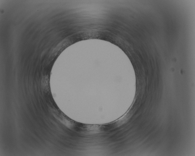 X0000073450144200608251715