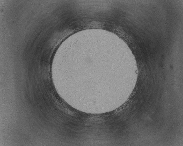 X0000073450146200608251714