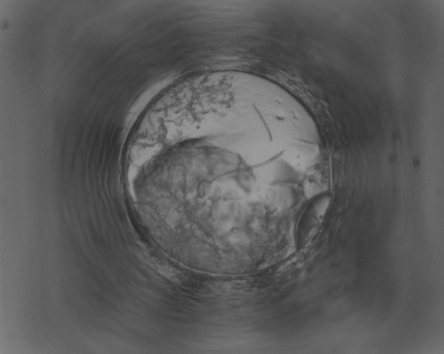 X0000073450147200608251714