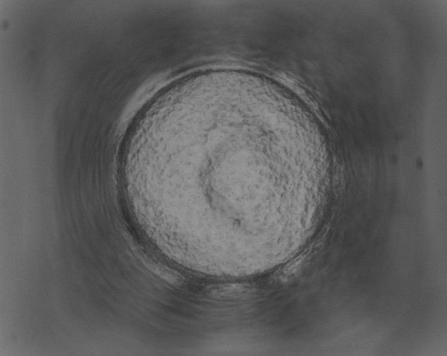 X0000073450151200608251714