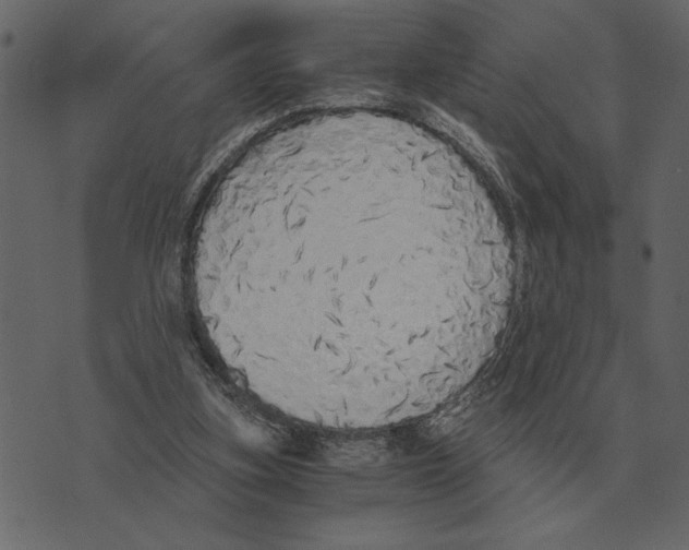 X0000073450155200608251715