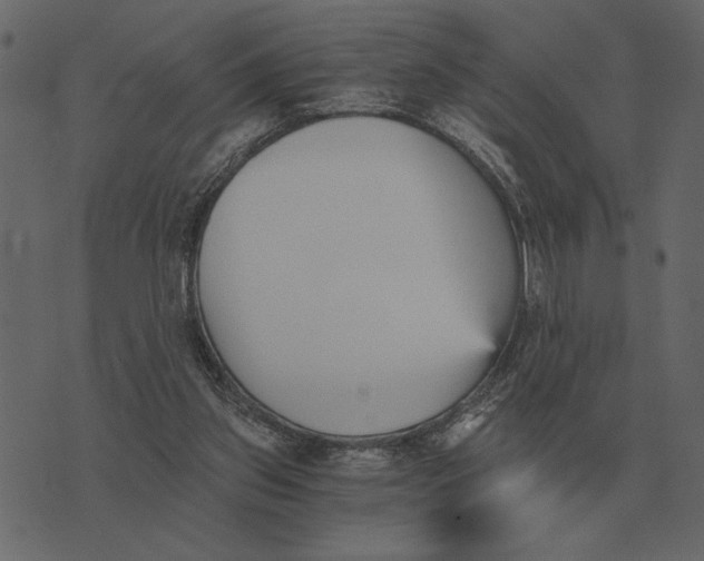 X0000073450157200608251715