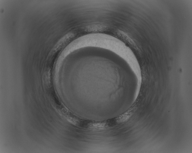 X0000073450163200608251715