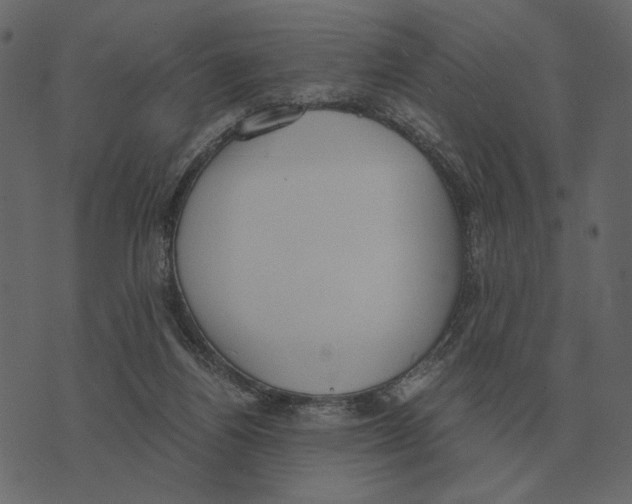 X0000073450164200608251715