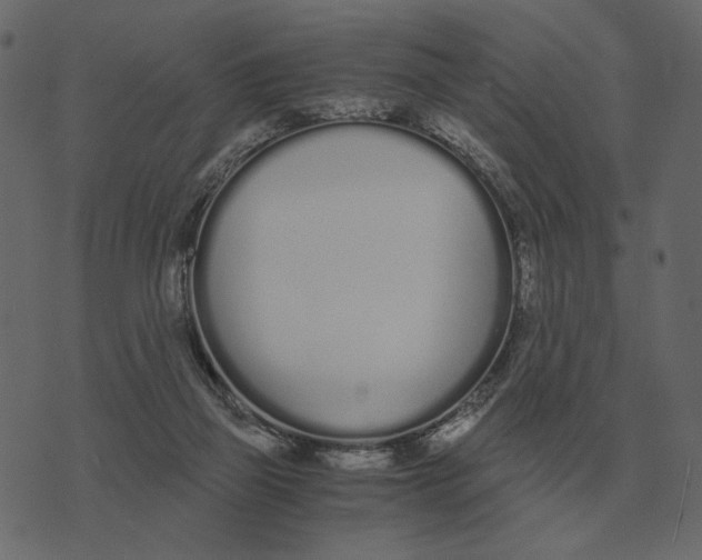 X0000073450165200608251715