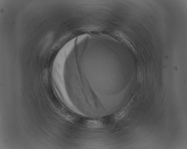 X0000073450167200608251715