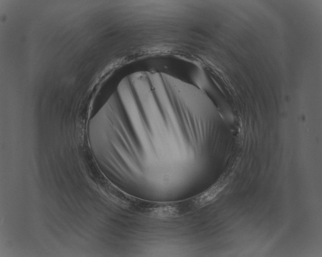 X0000073450168200608251715