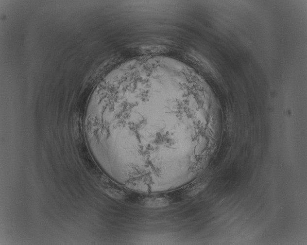 X0000073450169200608251715