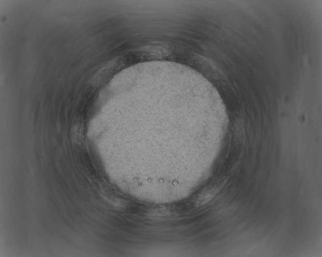 X0000073450177200608251715
