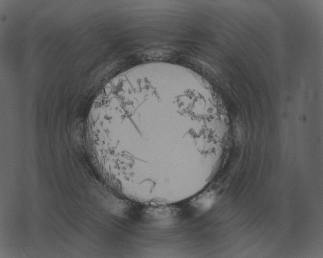 X0000073450181200608251715