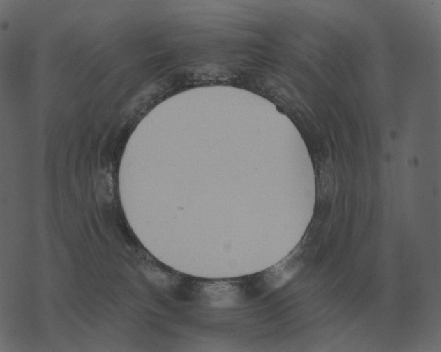 X0000073450183200608251715
